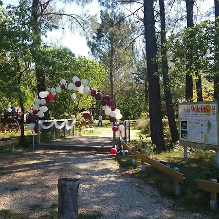 Camping Les Palafitos