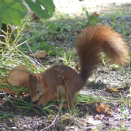 Les Palafitos 3* Luglon
