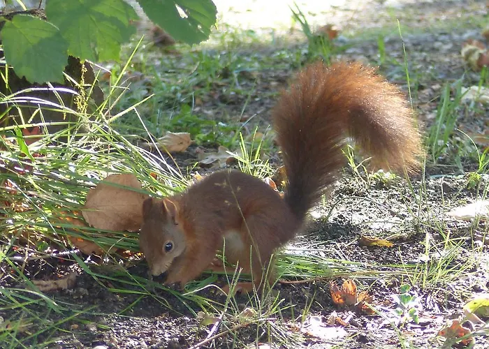 Les Palafitos 3* Luglon