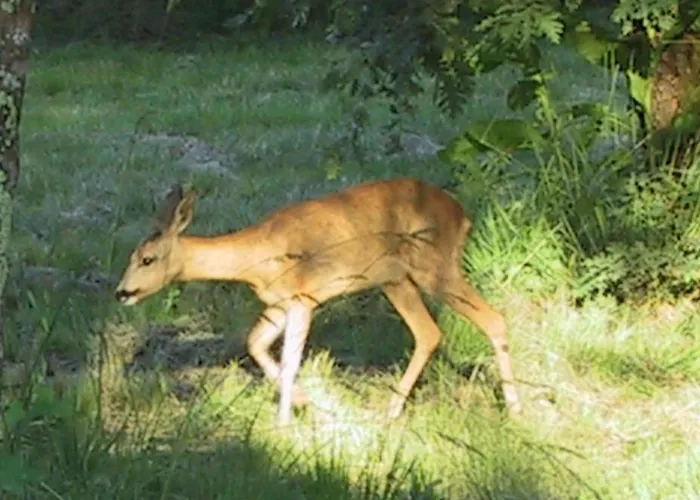 Camping Les Palafitos Luglon
